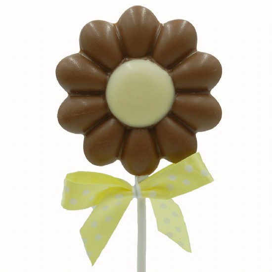 Chocolate Daisy Flower