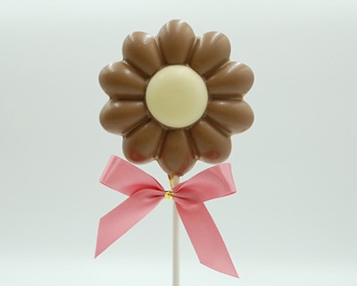 Chocolate Daisy Flower