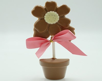 Milk Chocolate Flower Pot