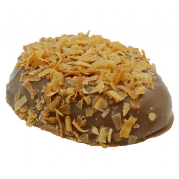 Milk Chocolate Toasted Coconut Caramel Egg 1 oz.